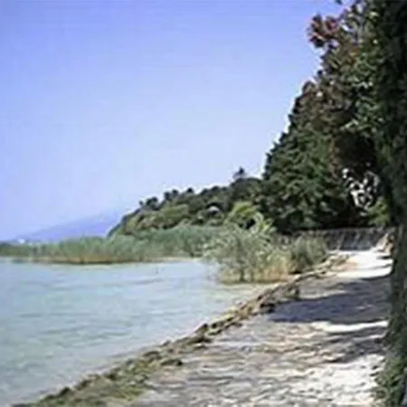 La Bella Galeazzi - Italian Homing *